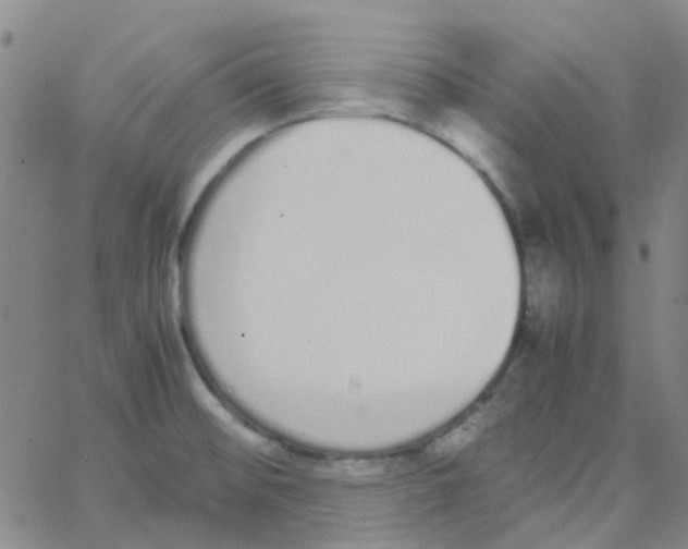 X0000062671476200601181848