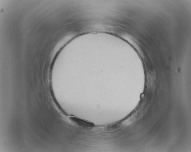 X0000062671477200601181848