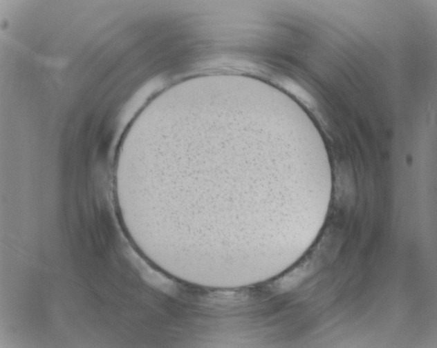 X0000062671478200601181848