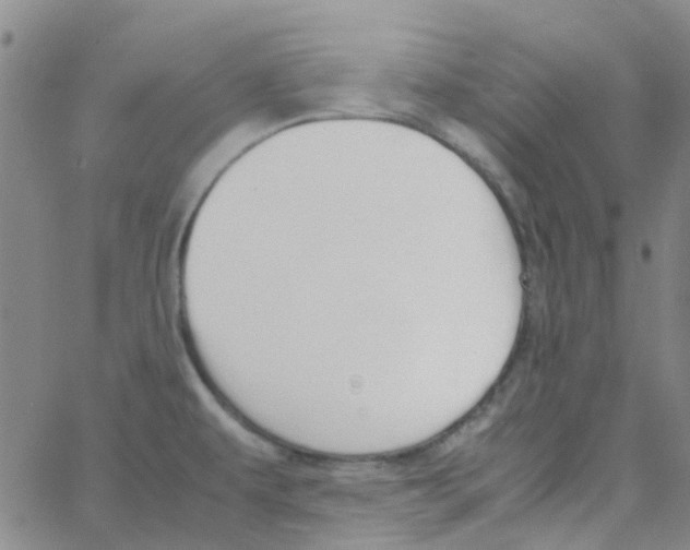 X0000062671479200601181848