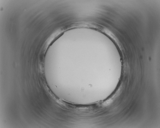 X0000062671481200601181848