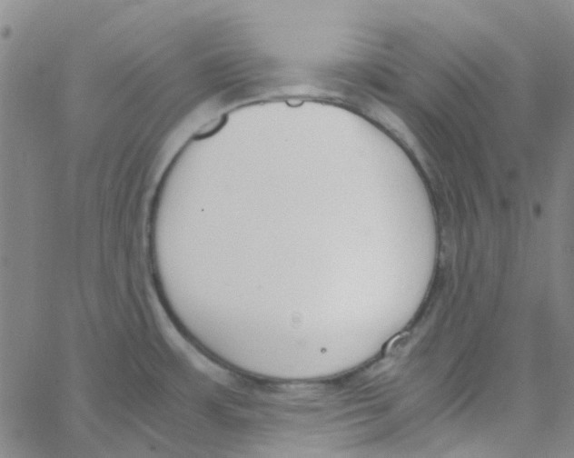 X0000062671483200601181848