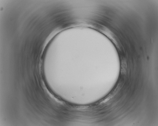 X0000062671484200601181848