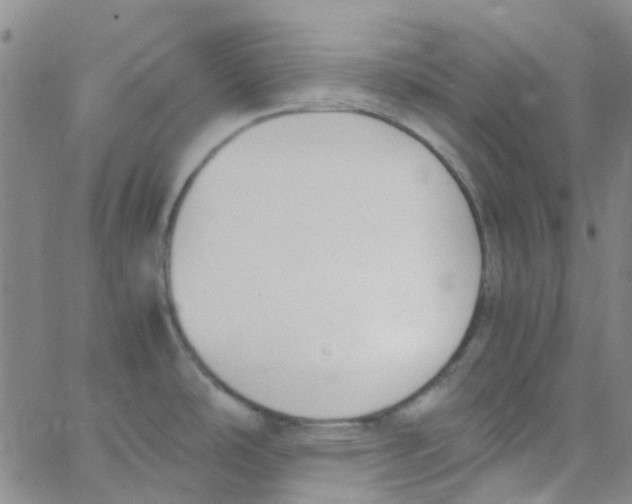 X0000062671486200601181848