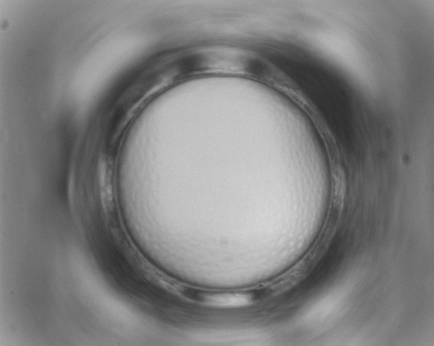 X0000062671487200601181848