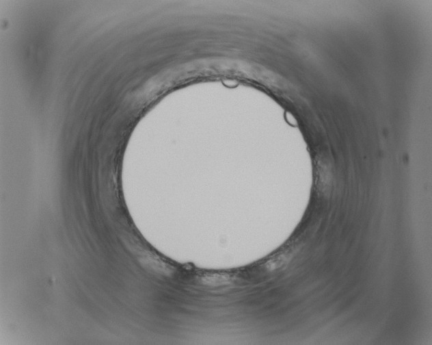 X0000062671489200601181847