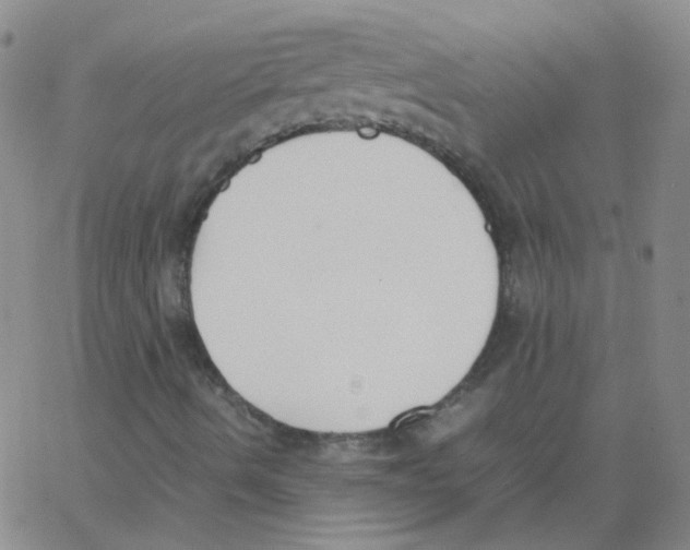 X0000062671490200601181847