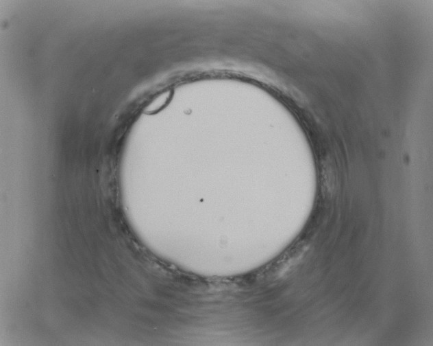 X0000062671494200601181847