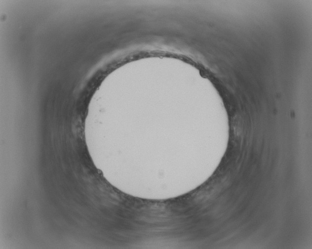 X0000062671495200601181847