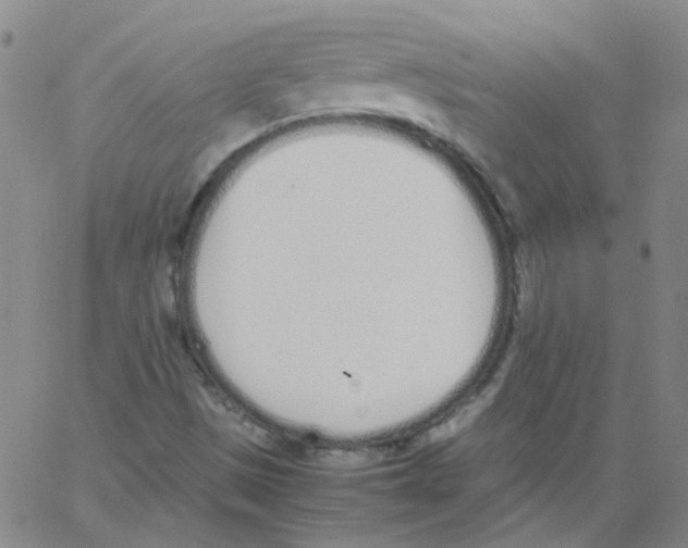 X0000062671497200601181847