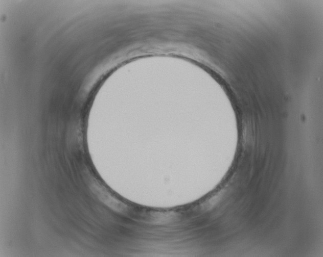 X0000062671498200601181847