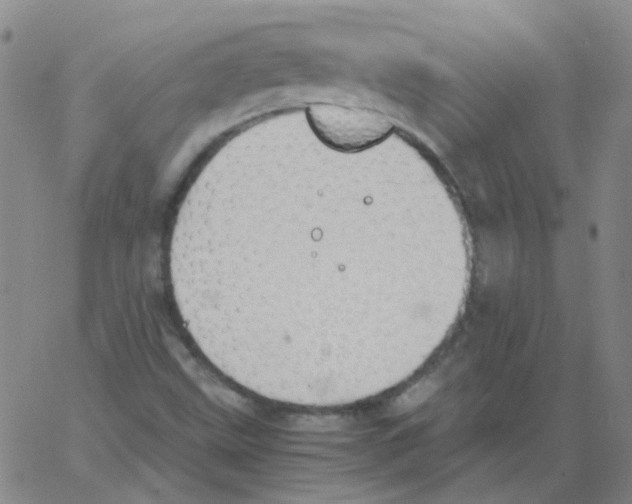 X0000062671499200601181847