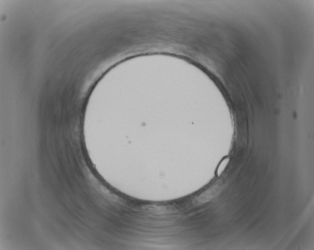 X0000062671500200601181847