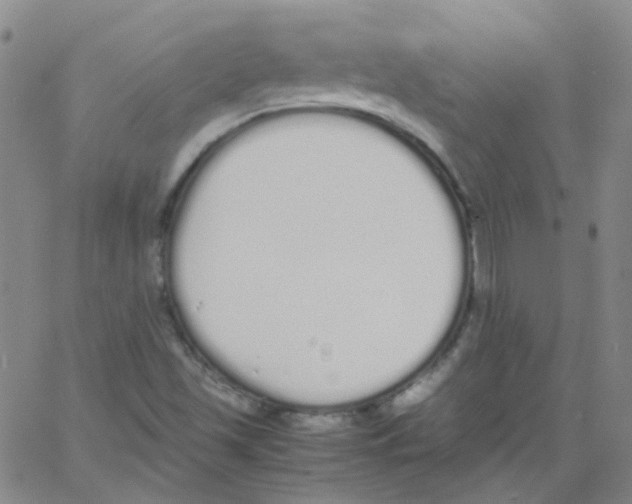 X0000062671501200601181847