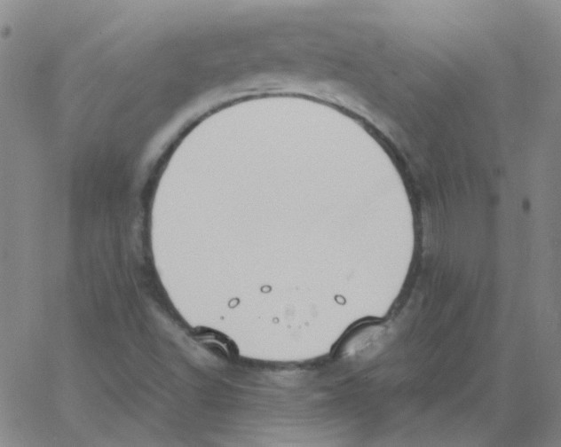 X0000062671502200601181847