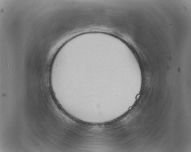 X0000062671504200601181847