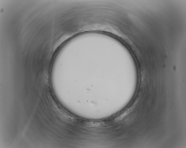 X0000062671505200601181847