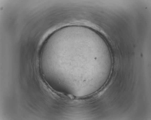 X0000062671506200601181847