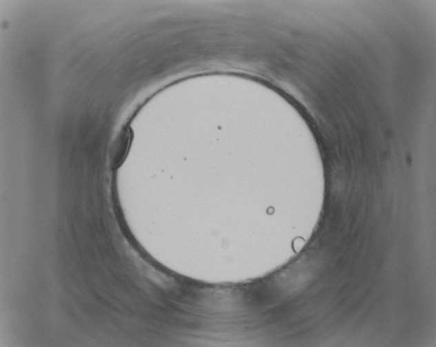 X0000062671508200601181847