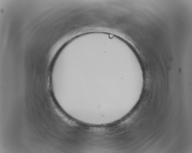 X0000062671511200601181847