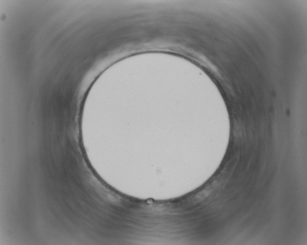 X0000062671512200601181847