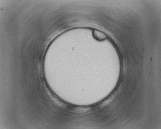 X0000062671513200601181847