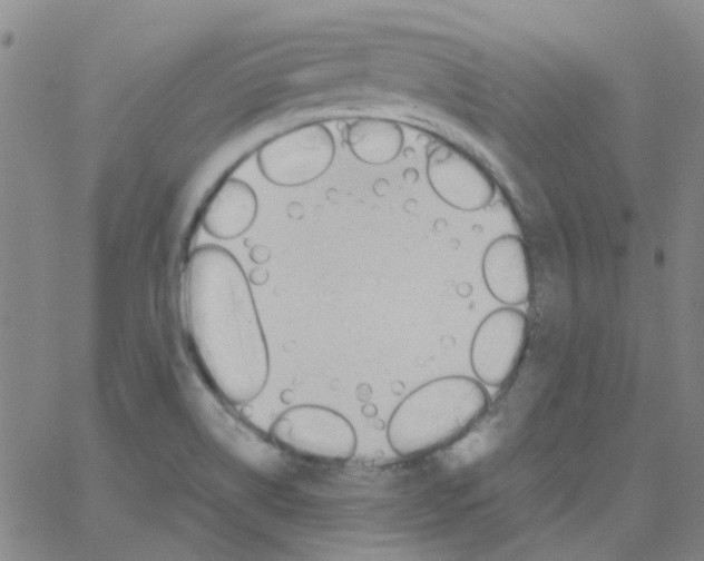 X0000062671514200601181847