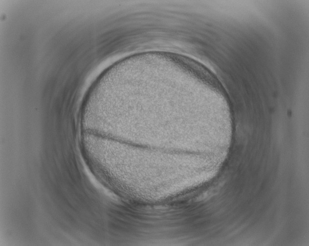 X0000062671515200601181847