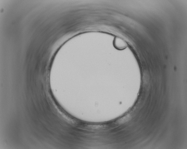 X0000062671517200601181847