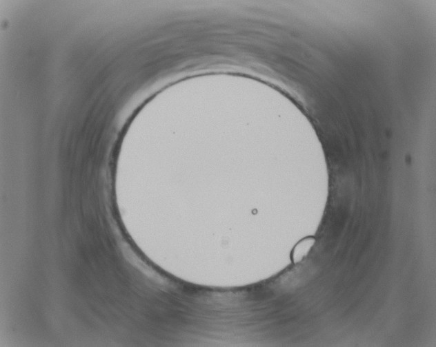 X0000062671518200601181847