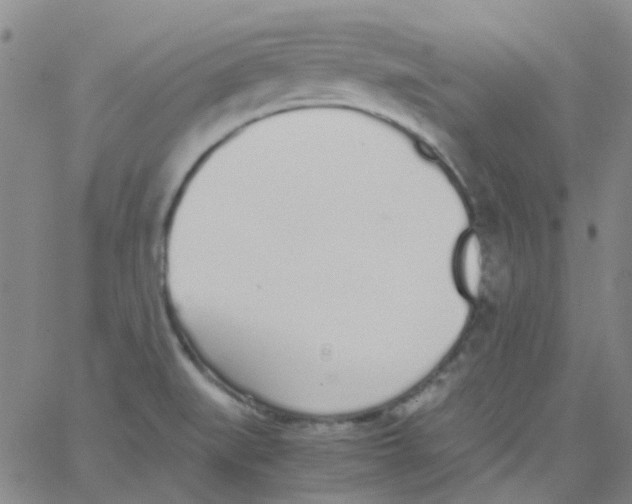 X0000062671519200601181847