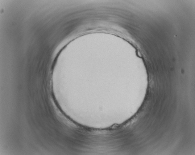 X0000062671522200601181848