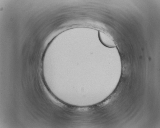 X0000062671523200601181848