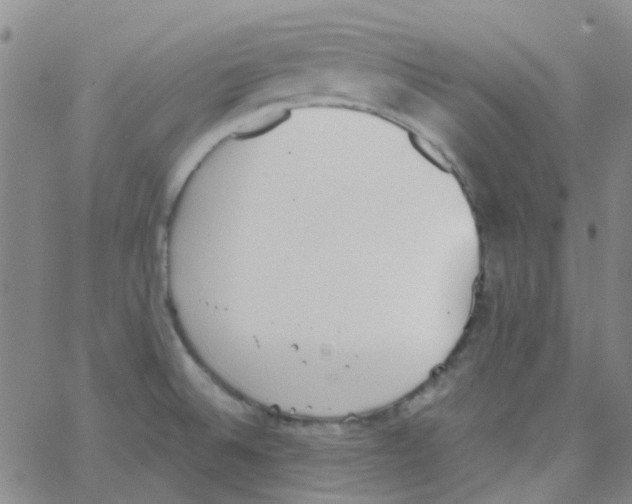 X0000062671524200601181848