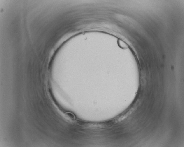 X0000062671525200601181848