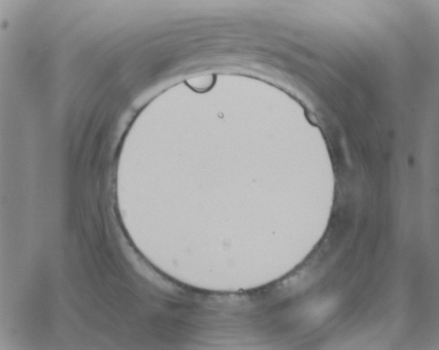 X0000062671526200601181848