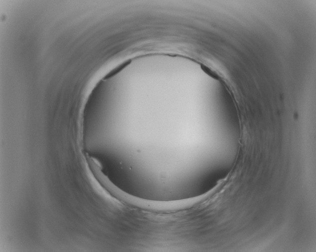 X0000062671528200601181848