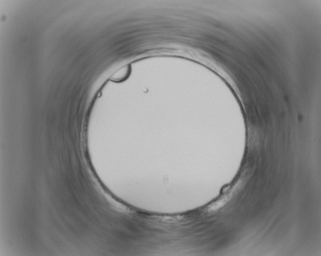 X0000062671533200601181848