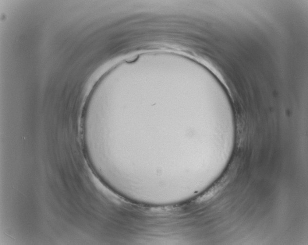 X0000062671535200601181848