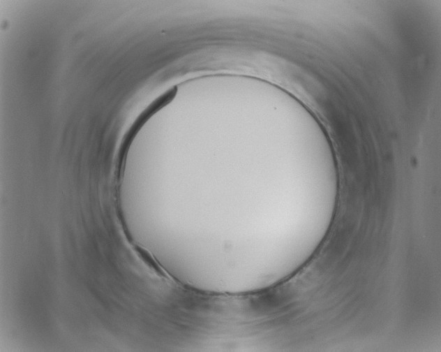 X0000062671536200601181848