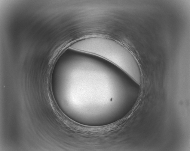 X0000062690001200512211145