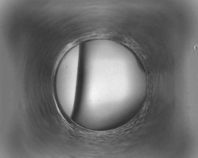 X0000062690003200512211145