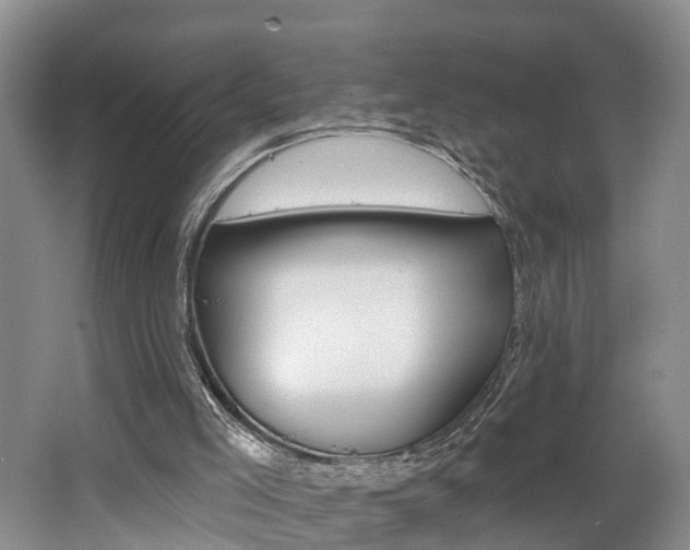 X0000062690005200512211145
