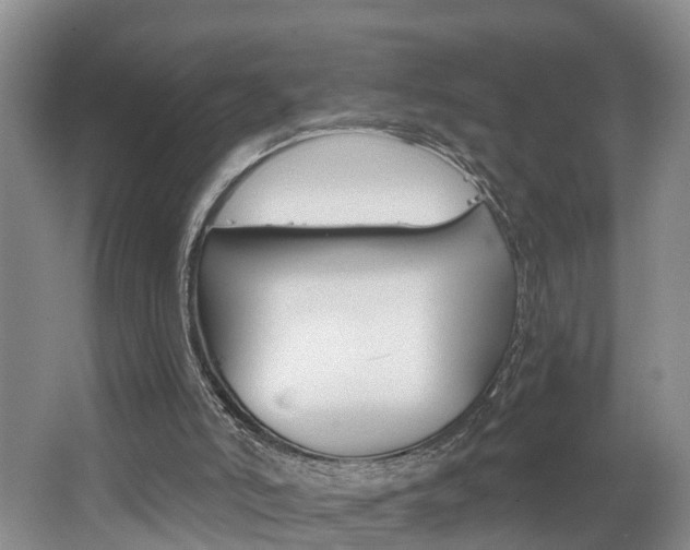 X0000062690006200512211145
