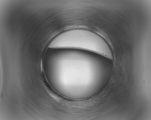 X0000062690013200512211145