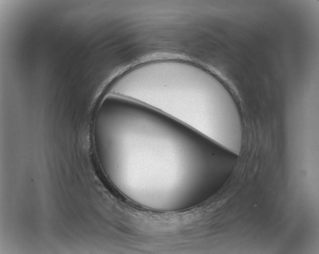 X0000062690015200512211145