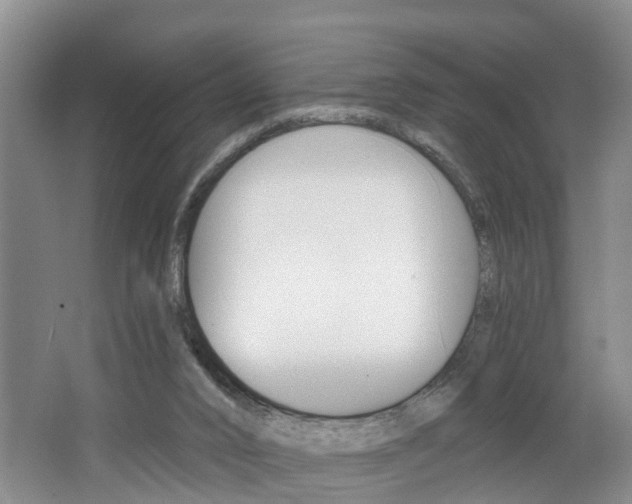 X0000062690016200512211145