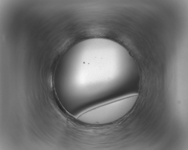X0000062690021200512211144