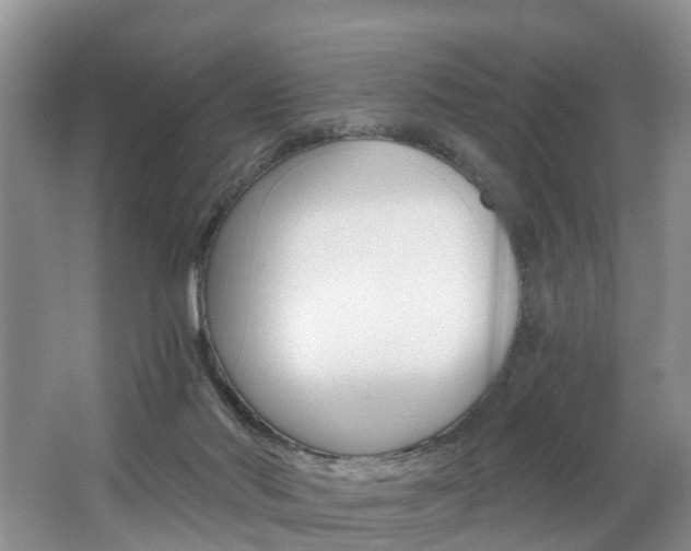 X0000062690022200512211144