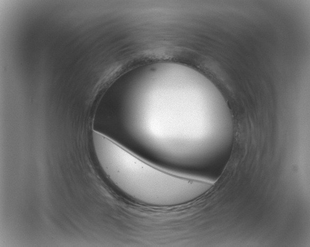 X0000062690023200512211144